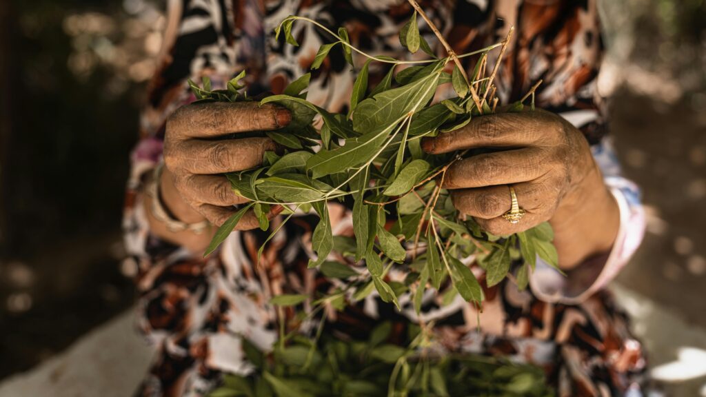 pexels youssef elbelghiti 413076470 27951007